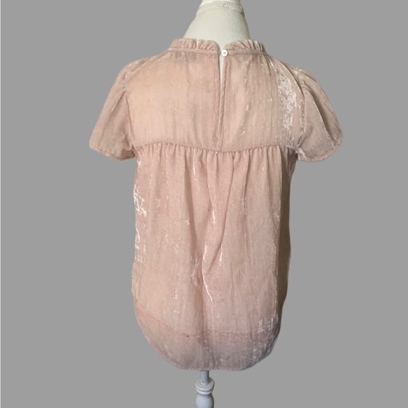 Loft “velvet” blouse - Picture 4 of 9